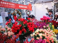 上海市中心“快闪花市”开业：年宵花、新年文创、暖冬美食，好玩又暖心