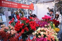 上海市中心“快闪花市”开业：年宵花、新年文创、暖冬美食，好玩又暖心